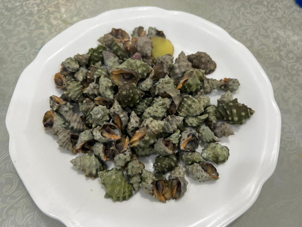 Boiled sea snails